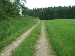 kleine Kuppen und groe Felder