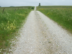 immer mit weitem, landschaftlich beruhigend gebrochenem Blick