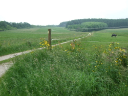 unausgeschildert (bzw.falsch) Richtung Tuningen: hier rechts durch die Senke