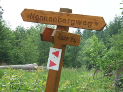 verwirrende Waldwegkreuzungen