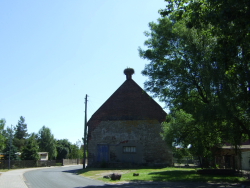 Jungstrche in Osternienburg