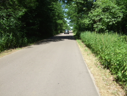 befahrene Nebenstrasse nach Aken