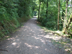 bergan zum Rheinfall