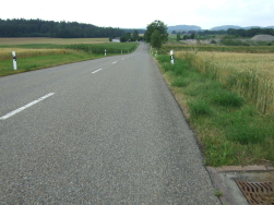 Schweizer Landstrassen am Sdufer