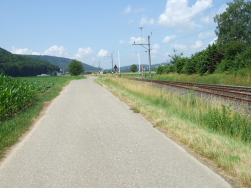 zurck an den Rhein in Bernau