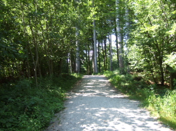 Licht und Schatten Wechselspiele begleiten