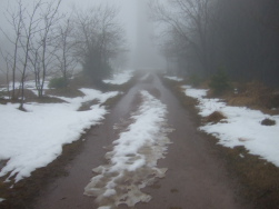 der Hohlohturm gespenstig im Nebel