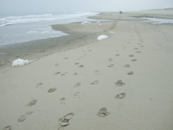 Spuren im Sand