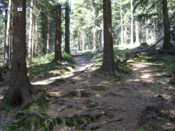 Richtung Hochkopf