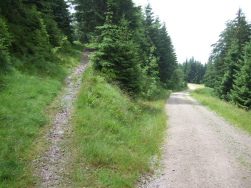 Weg zum unverbaubaren Blick auf die Rheinebene oder geradeaus