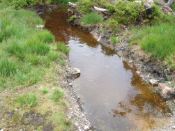 Blick nach unten ins moorig braune Wasser