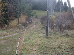 Auslauf im leichten Trab