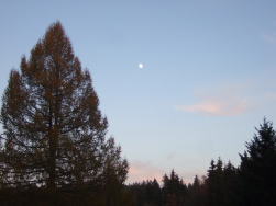 wenn der Mond am hchsten steht