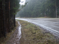 Strassenbegleitungen auch