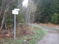 Westweg links, Thurner Abzweig rechts