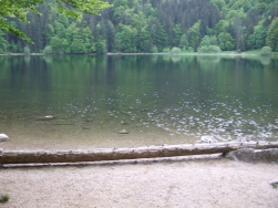 endlich der Feldsee