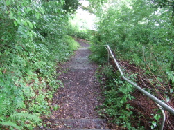 Treppen zurck in die Stadt