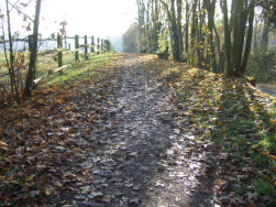 und lnger, im Herbst