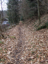 es geht im Tal der Wrm entlang