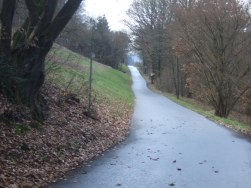 Rad- oder Wanderweg?