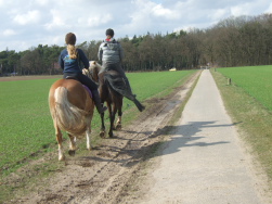 bei Heelsum