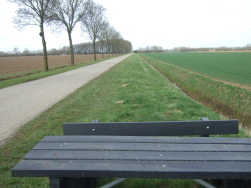 Polder hinter Werkendam