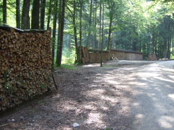in Bayern sind die Holzstapel abgedeckt