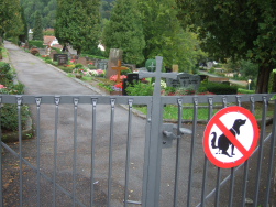 bergro am Friedhof