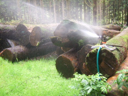 nicht zu verstehen, besonders bei Regen