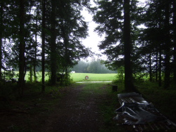 aus dem Wald geradeaus ber die Wiese