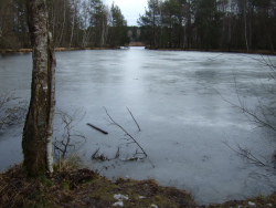 Winterwanderung Richtung BD