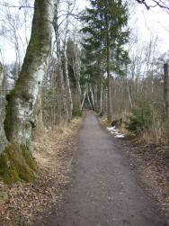 halbrum um den Neckarursprung