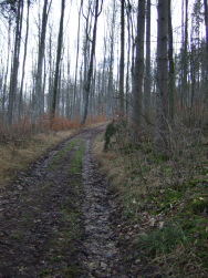der nächste Anstieg