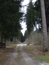 auf der Höhe