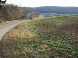 da ist schon der Kirchturm