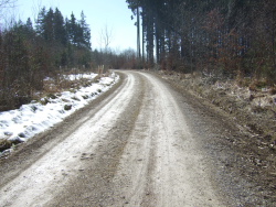 Wald und Wiese wechseln sich ab