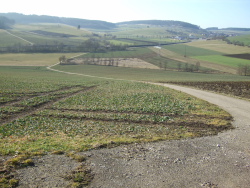 hier unausgeschildert nach unten zum Kapellchen