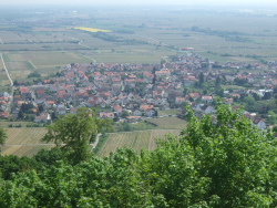 Blick vom Hambacher Schloss