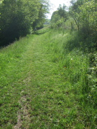 Sthlingen am Horizont