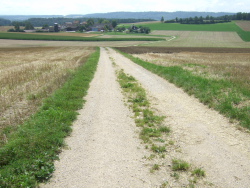 weitsichtiger Strassenverlauf rckwrts