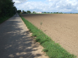 Bchlein und Felder begleiten uns