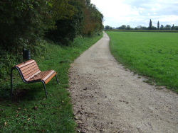 Bank und Papierkorb mitten im Feld