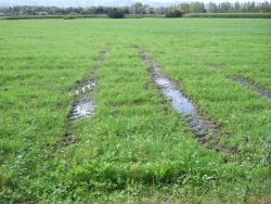 Farm-Impressionen