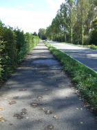 der Fahrstrasse entlang Richtung Radolfszell