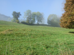 eine erste Lichtung ohne Nebel