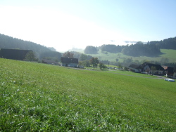 Ausblicke in die Rheinebene