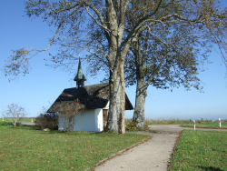 gleich sind wir auf dem Bergkamm