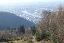 Blick vom Knigstuhl