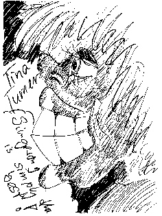 03-TinaTurner.jpeg (67898 Byte)